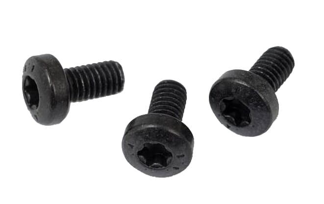 Bosch E-Bike Screw M4x8 Torx T20 for stone chip protection - 1270016435