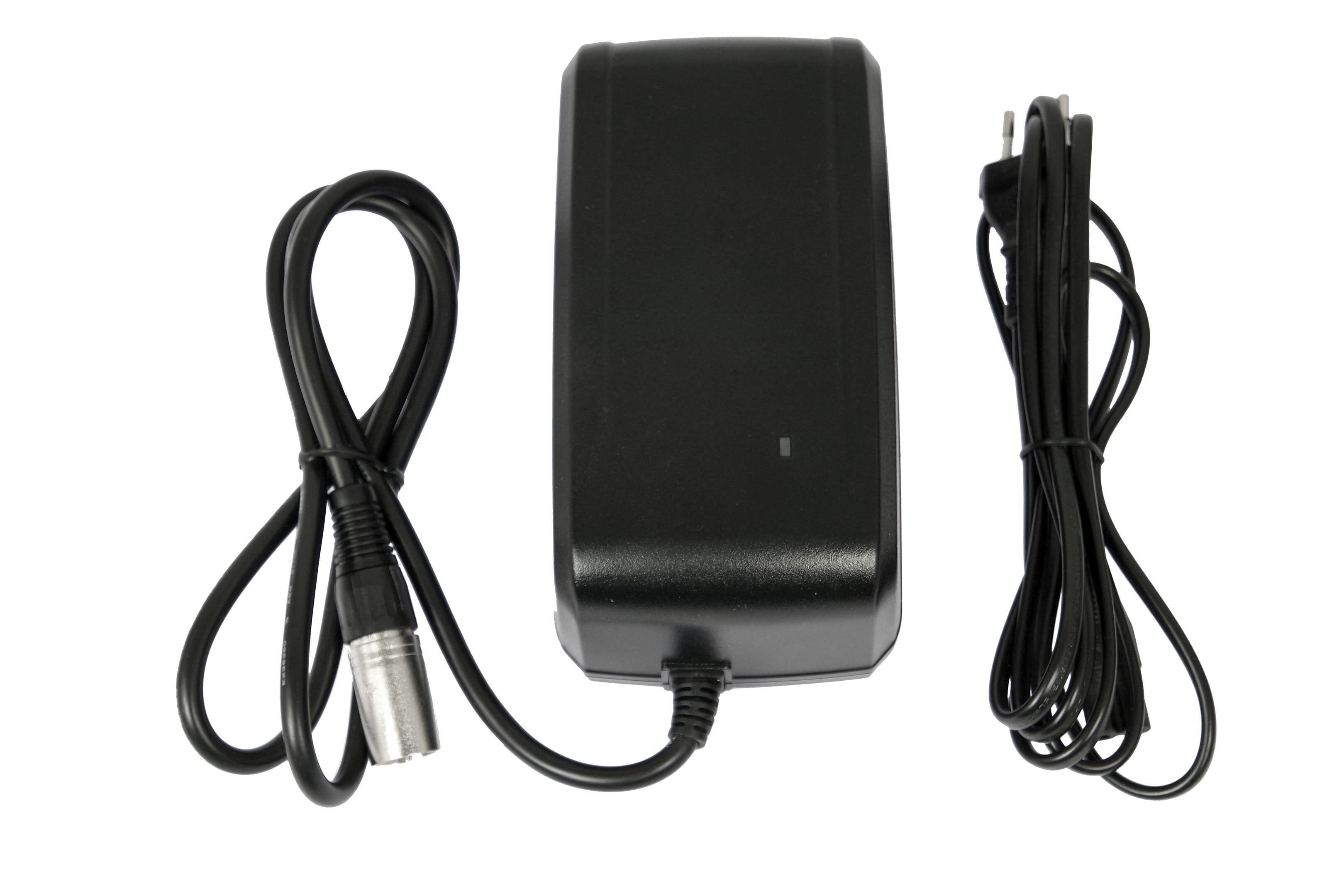 Giant Fast Charger (4A)